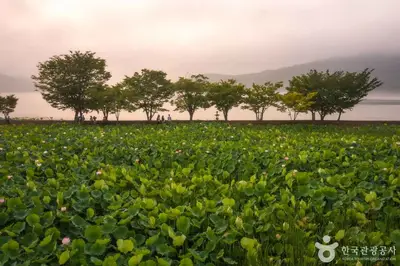 세미원 전경