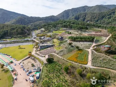 정읍 구절초 지방정원 전경